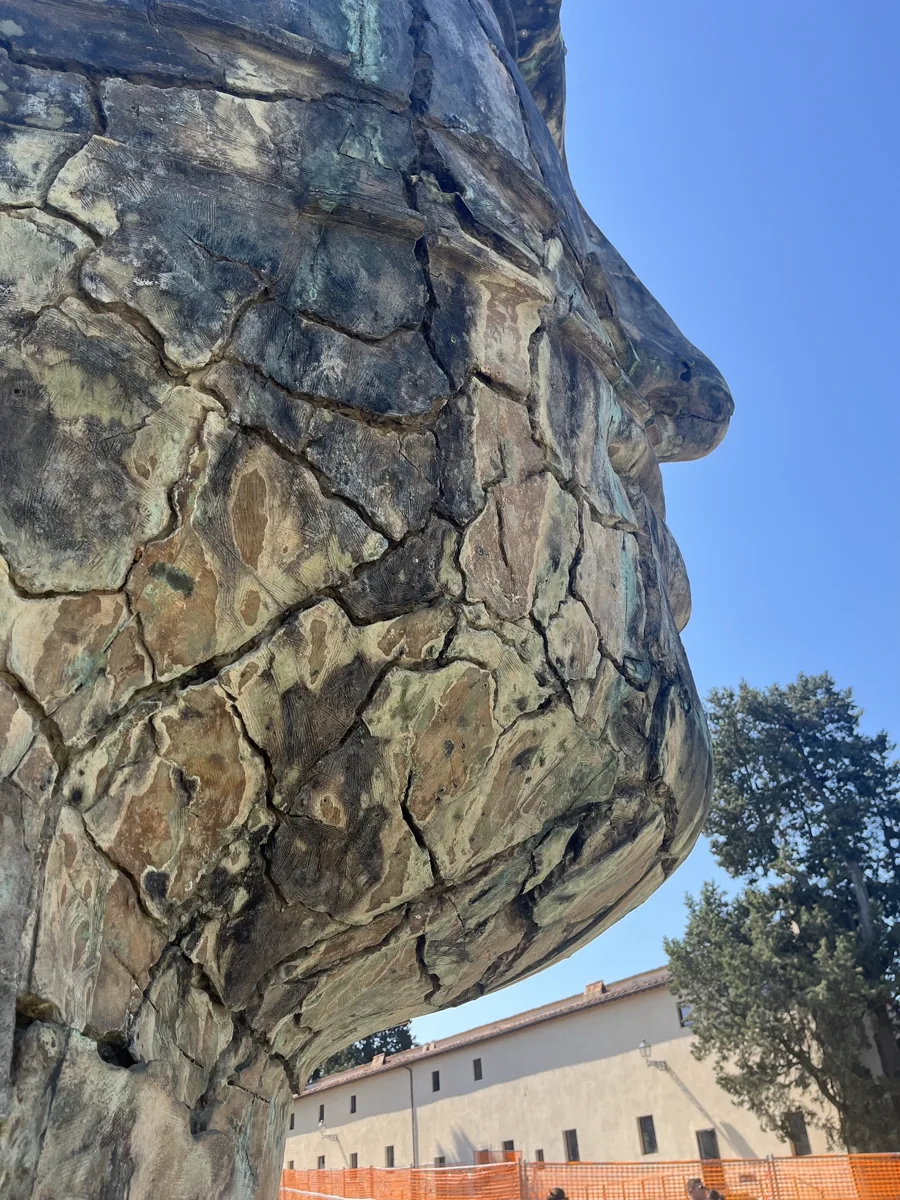 Tindaro Screpolato (1997) by Igor Mitoraj — close detail of the deliberately fractured bronze surface treatment, Boboli Gardens, Florence